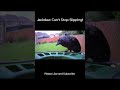 Jackdaw Slips at the Birdfeeder! 😍😂
