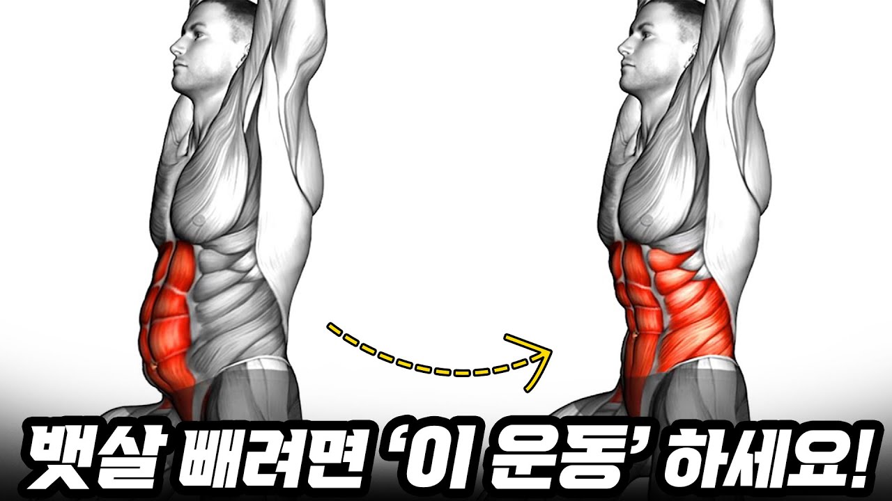 복근 만드는데 왜 유산소 부터 하세요? 1분만 따라하면 뱃살 싹 빠지고 복근(식스팩) 생깁니다! [복근운동 남자 루틴/복근 만드는법/복근운동 여자/베큠 포징/ab 롤아웃]