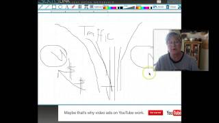 Tastefully Simple - How to get more Consultants