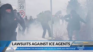 Legal Analyst: Can you sue an ICE agent