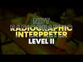 Training NDT RI ASNT Lv. II