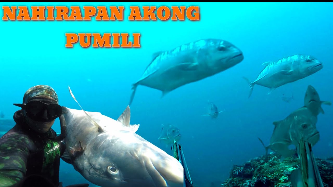 NAHIRAPAN AKONG MAMILI , TANIGUE OR GIANT TREVALLY 🤔|| Gabby Ramal
