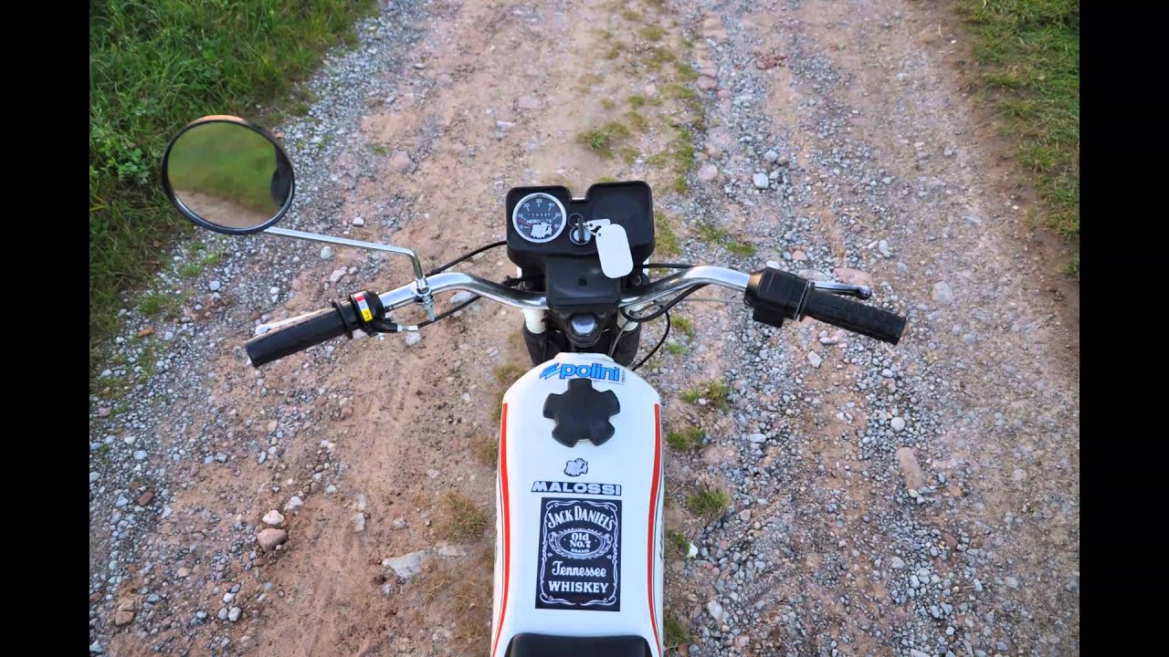 Hercules PRIMA GX - Last pictures of summer - Mofa Love