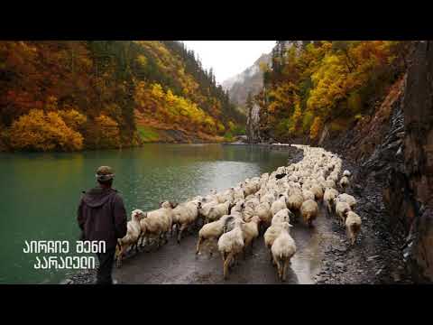შემოდგომაზე სანახავი 5 ადგილი საქართველოში