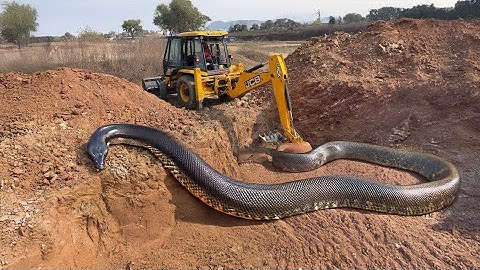 JCB 3dx xpert loading mud In Mahindra 475 JCB miti Khudai JCB miti Khudai JCB video #jcb #jcbcarton