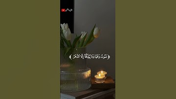 تلاوة خاشعة للشيخ ياسر الدوسري 🎧❤️‍🩹 #أرح_سمعك_وقلبك #اكسبلور #طمئن_قلبك #ياسر_الدوسري