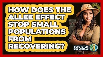 How Does The Allee Effect Stop Small Populations From Recovering? - Ecosystem Essentials