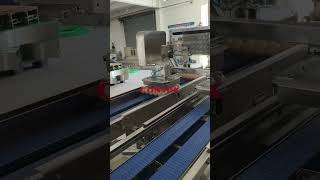 High-Speed Egg Tray Lid Closing Machine丨 72,000 Eggsh 丨