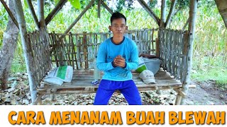 Tutorial melon