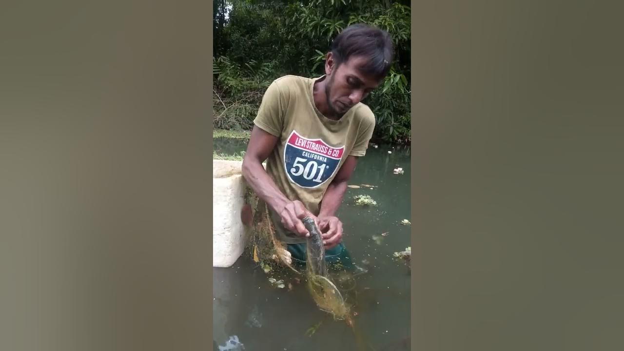 Sri Lankan 🇱🇰 Ashiya Fishing In Net Fishing (River Fishing )Tanki Sudda