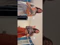 Eu Tô Fazendo Uma Mágica: Gordinho Bolado Magic Vibes! ✨🔥