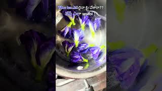 Trying Viral Blue Tea for the First Time ! #bluetea #herbalteas #teatime #tealover #shorts #viral