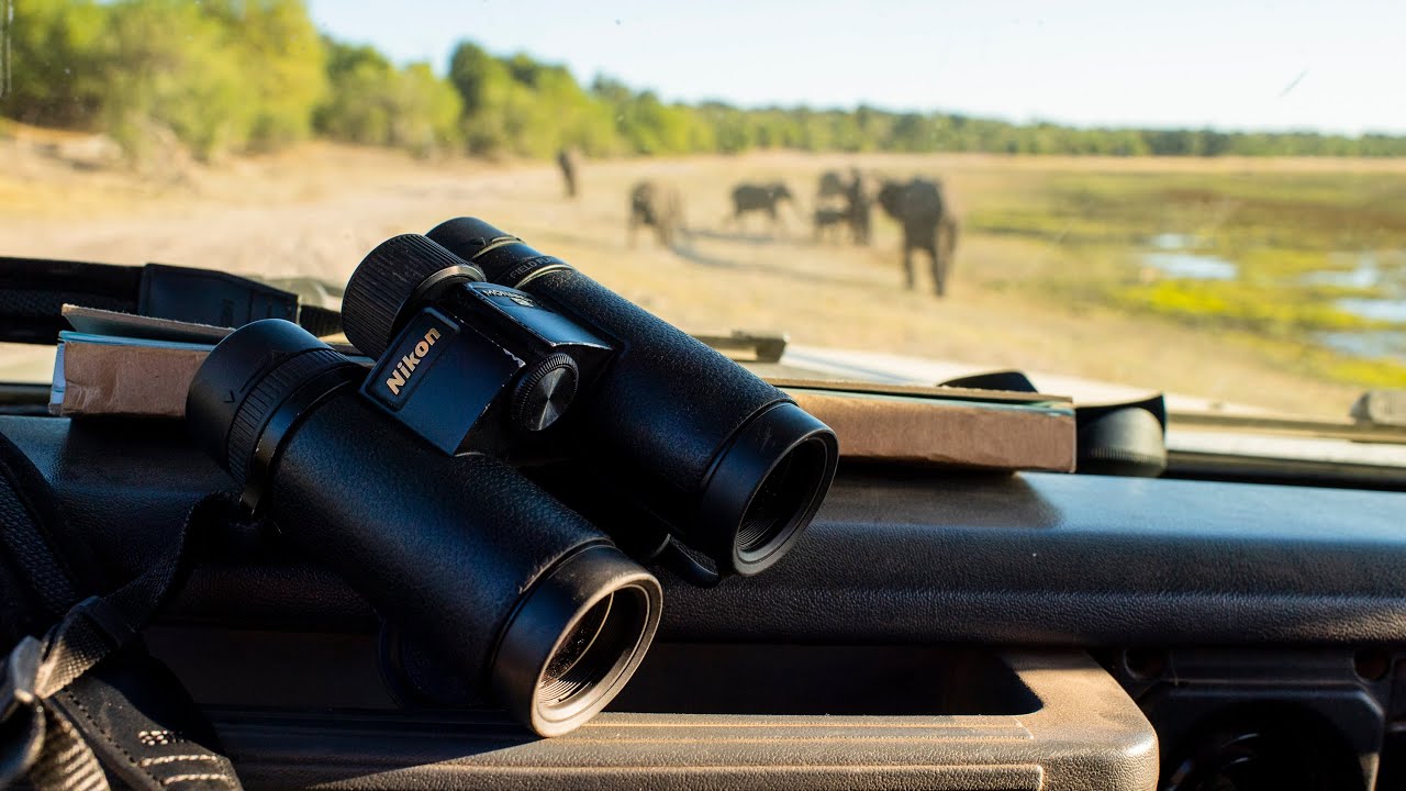 wildlife photography travel gear