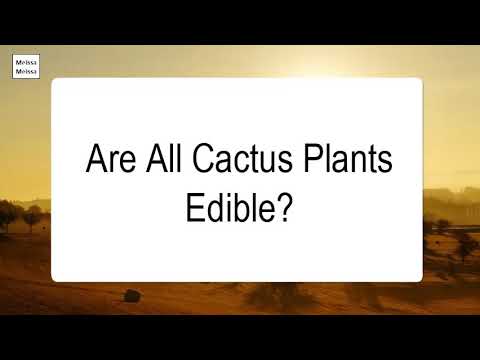 Are All Cactus Plants Edible