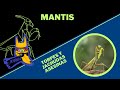 Mantis inesperadamente torpes y esperadamente asesinas  ep 28  cultura colmilluda