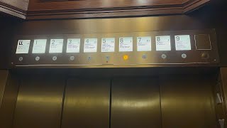 Beautiful Otis (mb. KONE) Traction Elevators | Sak's Fifth Ave Flagship Store | Manhattan NYC, NY