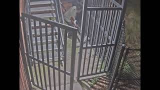 Detectives working to locate burglary suspect
