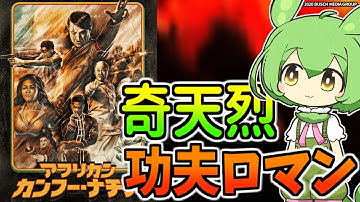 【映画紹介】アフリカン・カンフー・ナチス【全力レビュー#14】