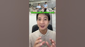 Thấy Gì Từ Làn Sóng Truy Quét Hàng Giả, Hàng Nhái Của Việt Nam? #shorts #banle #tieudung #chungkhoan