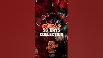 Pushpa 2 56 day collection || box office collection || #shorts