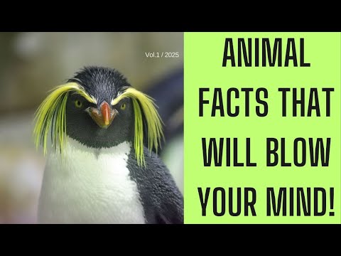 7 Wild Animal Facts That Will Blow Your Mind! - YouTube