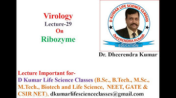 Ribozyme, Type and Function by Dr Dheerendra  Kumar