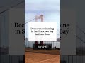 Deer seen swimming in San Francisco Bay far from shore