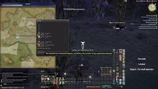 Final Fantasy XIV / 14. Map Location 2023. Purple Carrots - Botanist