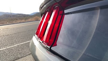 S550 Mustang burnout (Martin9er)