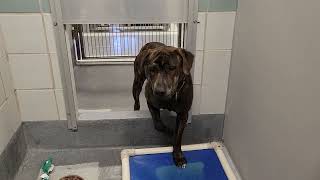 acs A660275