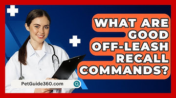 What Are Good Off-leash Recall Commands? - PetGuide360.com