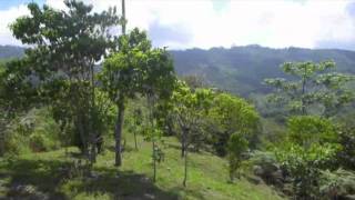 Raw Vegan Community: La Joya del Sol (Costa Rica)