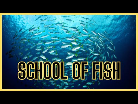 School of Fish: Nature’s Underwater Symphony