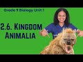 Grade 9 Biology Unit 2 2 6 5 Kingdom Animalia Saquama ሳቋማ
