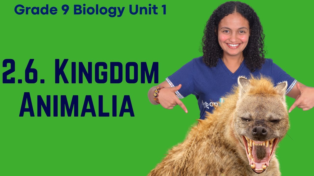 Grade 9 Biology Unit 2: 2.6.5 Kingdom Animalia Saquama | ሳቋማ