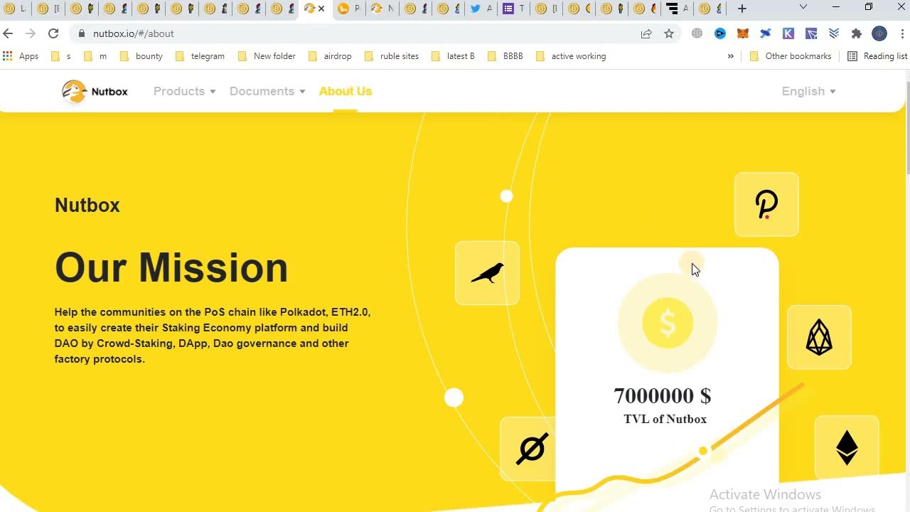 NUTBOX PROJECT REVIEW 