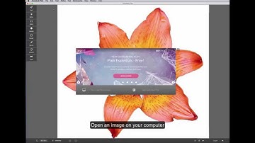 Resize and optimise images for web with PIXLR