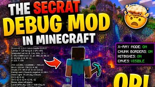 The Secret Debug Mod in java edition 😱