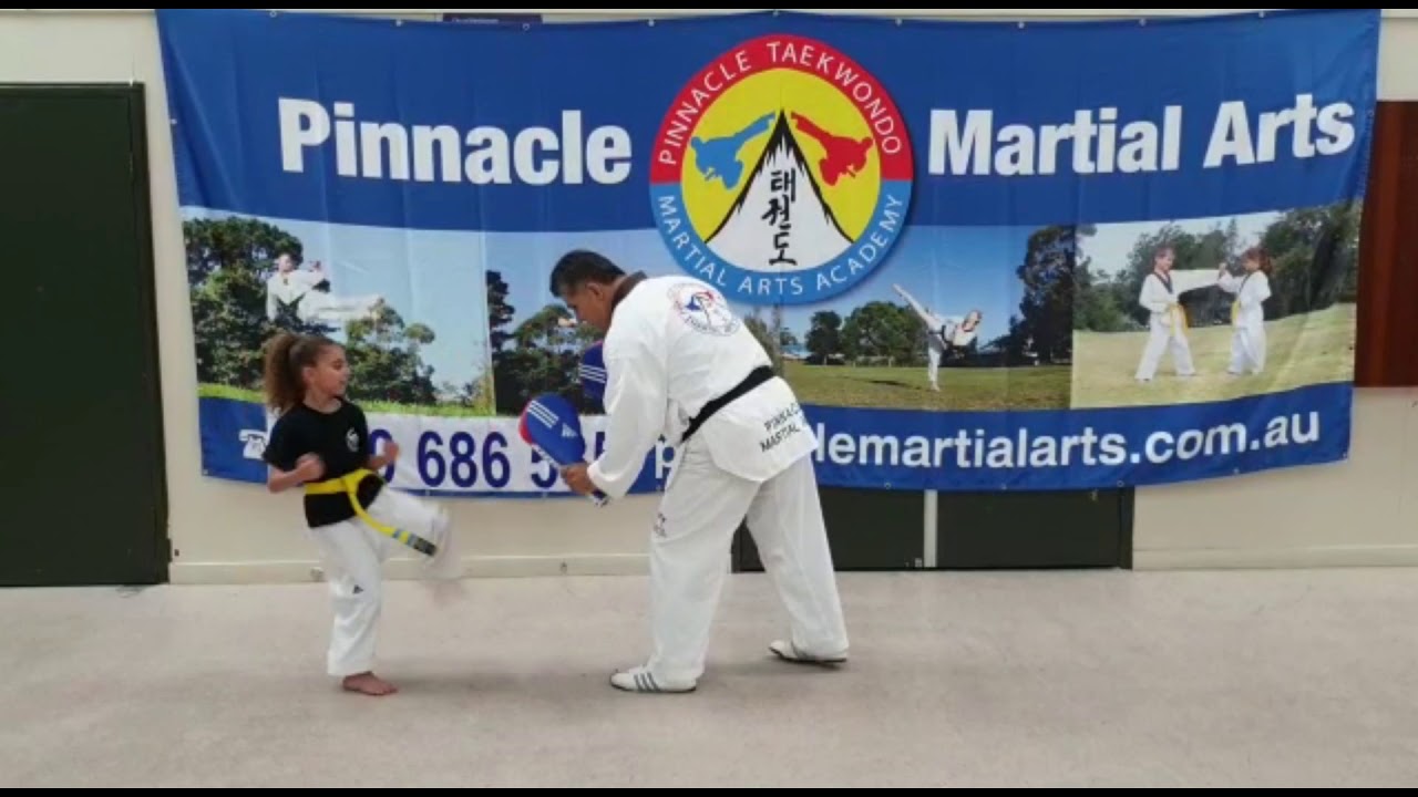 Pinnacle Martial Arts Academy - YouTube