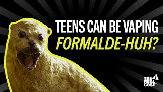 Celebrity Take it from a taxidermied critter; Vaping formaldehyde is no good ¦ The Real Cost 1080p 24fps H264 Net Worth