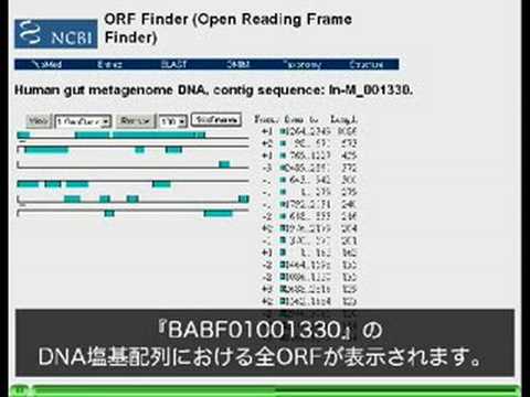 新たなる有用遺伝子候補を探索する