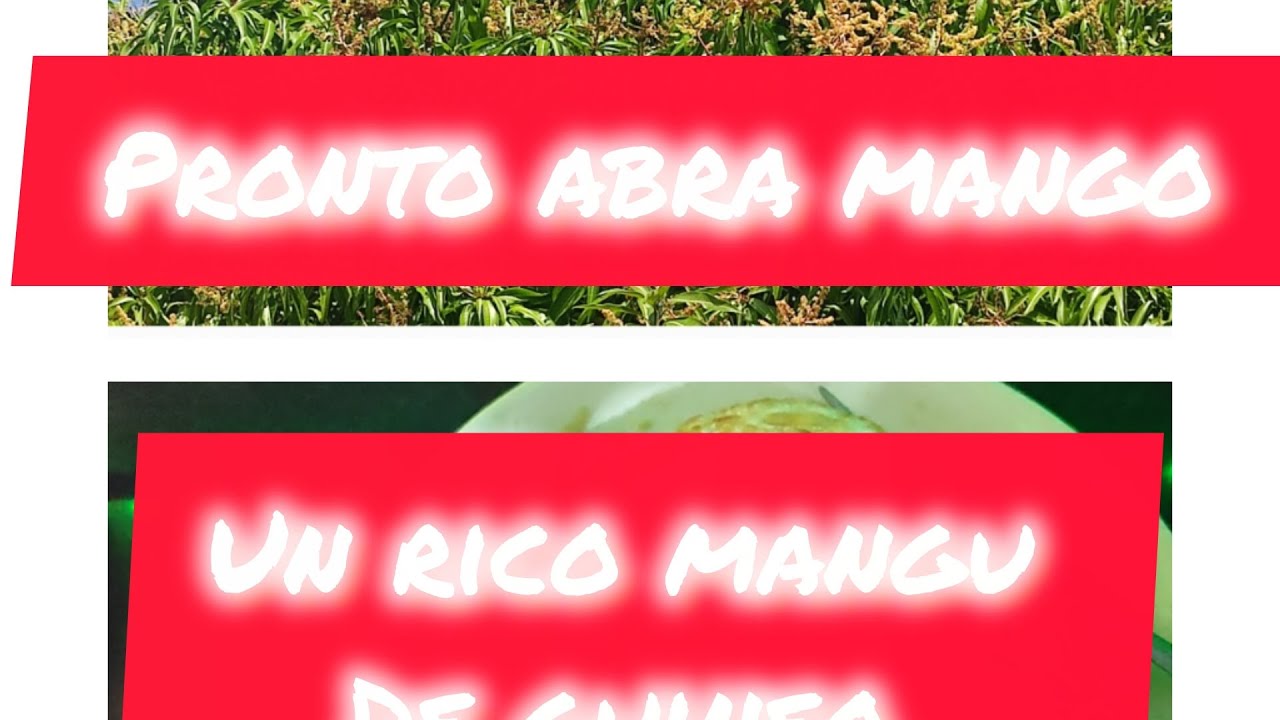 Edispolanco51 vlogs día de limpieza del patio acompañame