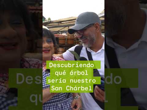 Nuevo video sobre el mundo de las plantas con san Chárbel velo completo.