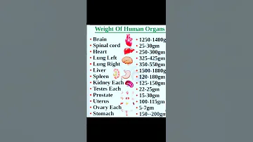 WEIGHT OF HUMAN ORGANS 