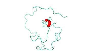 Intrinsically disordered protein: the gamma subunit of cGMP phosphodiesterase