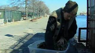 It's My Park: Recycling and Ecycling with the Lower East Side Ecology Center