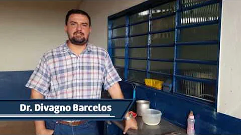 Como cuidar de potro órfão?