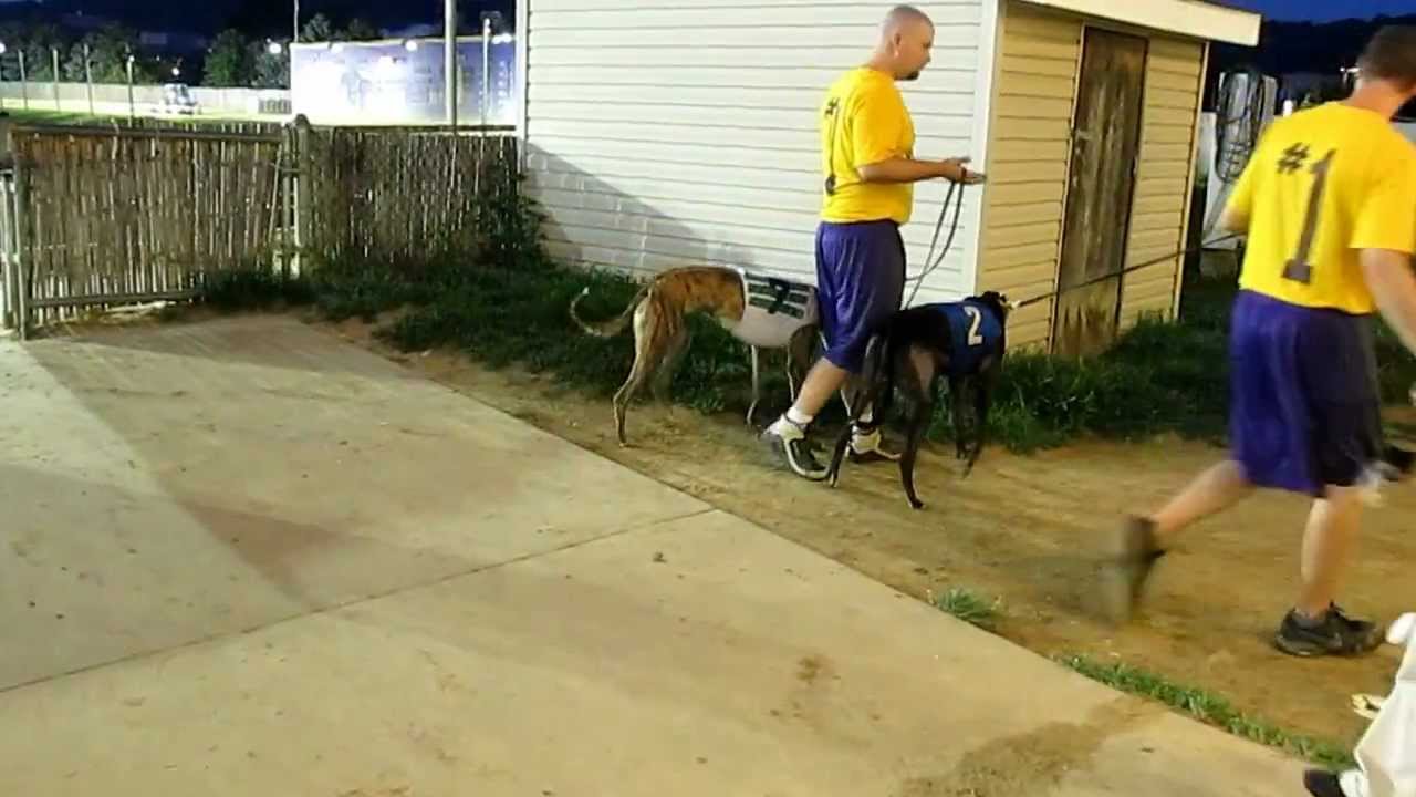 Post-race excitement