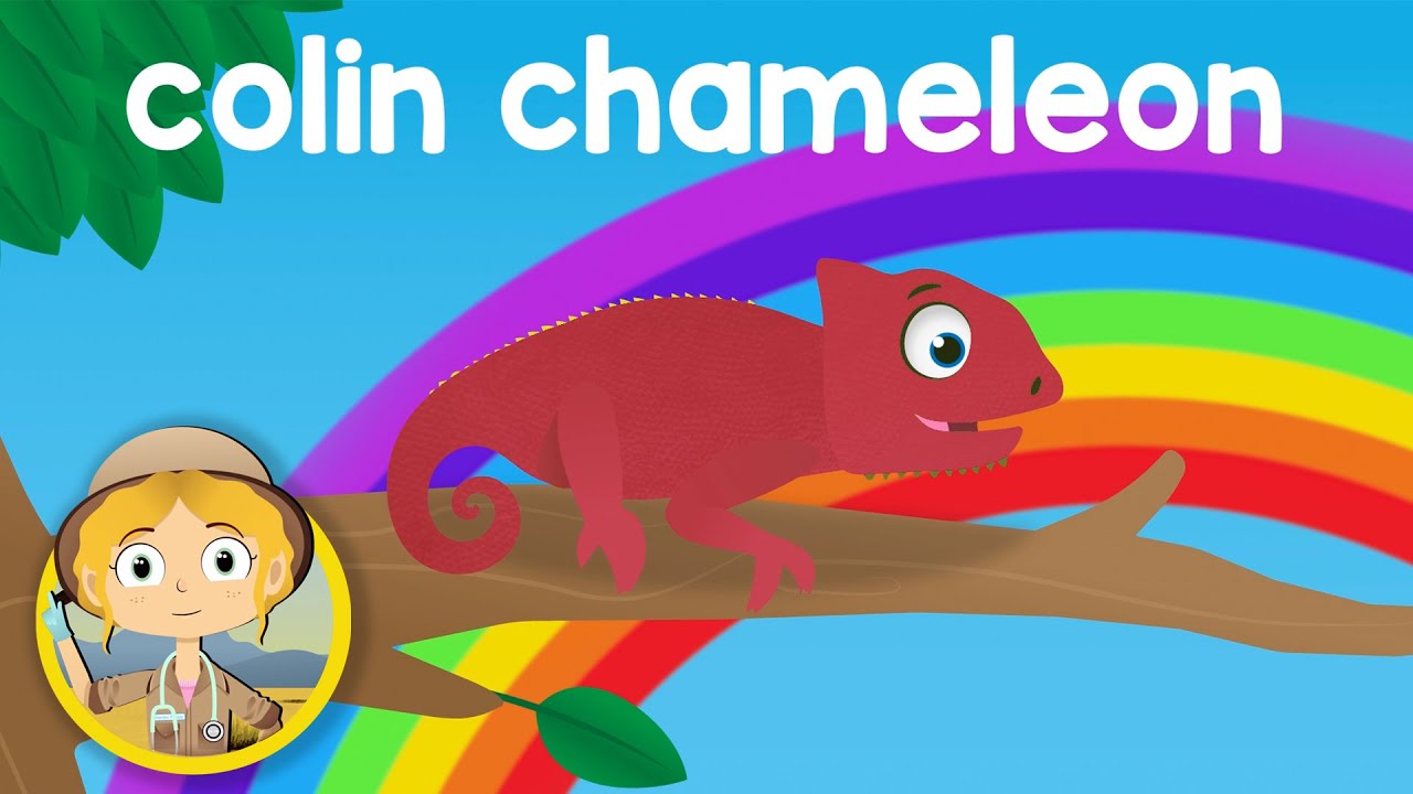The Rainbow Colors Song | Learn Colors With Doctor Poppy | Animal Cartoons & Kids Songs