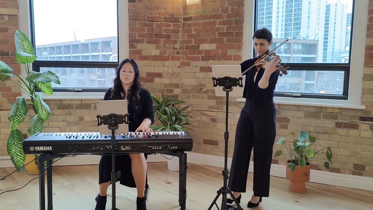 Bloom | The Paper Kites violin & piano cover by Le Collectif de la Cité